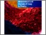 [thumbnail of Measurement Good Practice Guide No 2]