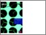 [thumbnail of Measurement Good Practice Guide No 12]