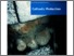 [thumbnail of Guides to Good Practice in Corrosion Control No. 1]